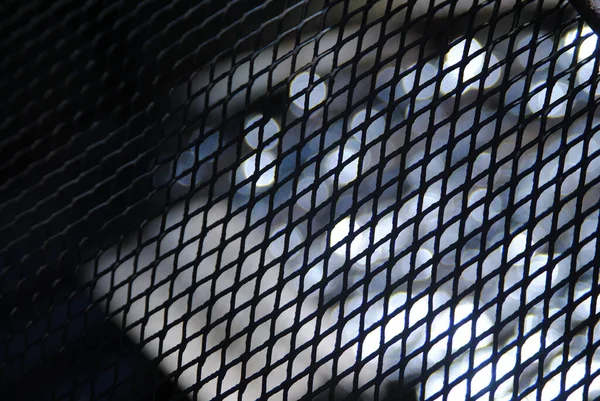 Ateş çukuru ağ kapağının kapatılması