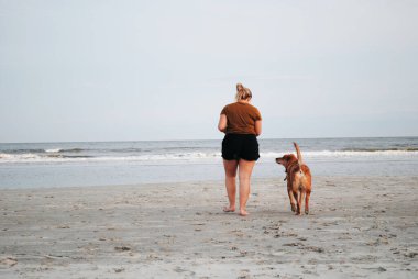 Bir kız ve köpeği sahilde