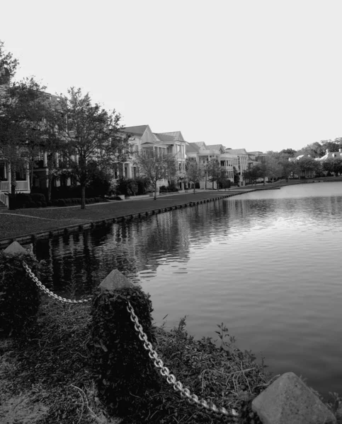 Mahalledeki bir göldeki sakin suların siyah beyaz fotoğrafı.