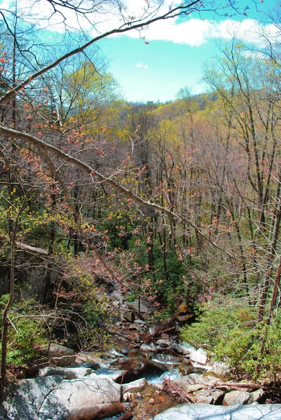 Bir şelalenin tepesine bak