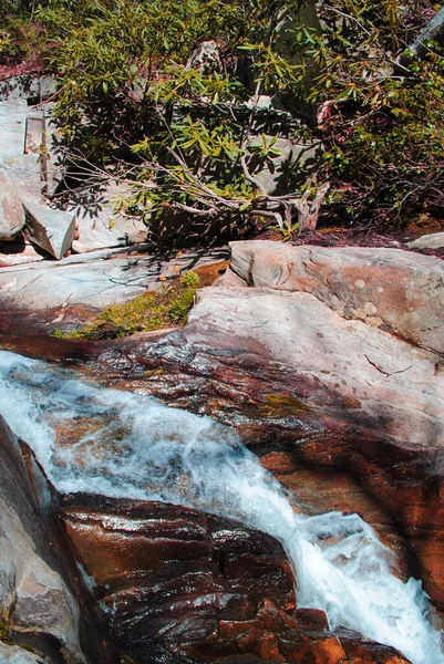 Ormandaki kayaların üzerinden akan su.