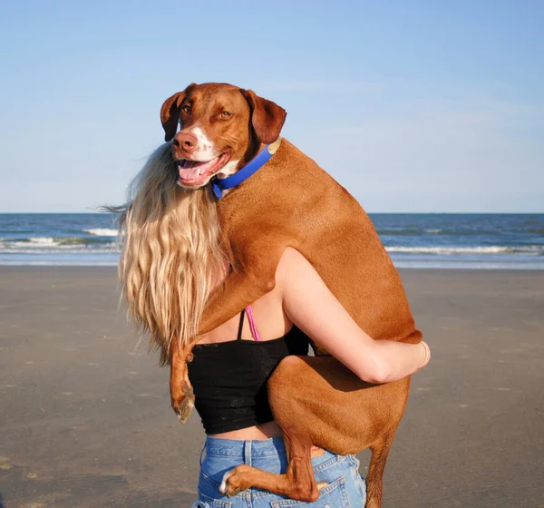 Ein Mädchen Hält Ihren Hund Strand — Stockfoto