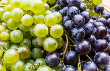 yeşil ve siyah üzüm