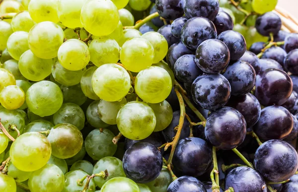 yeşil ve siyah üzüm