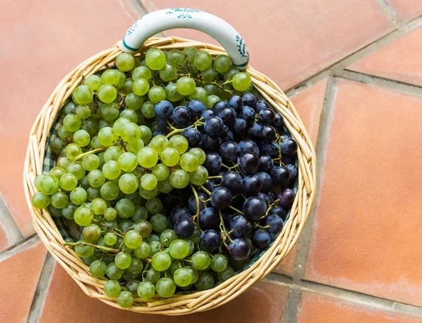 yeşil ve siyah üzüm