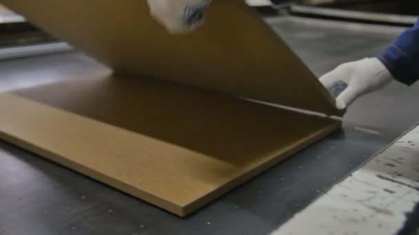 Arbetaren sätter en plywood på tryck maskin tabell — Stockvideo