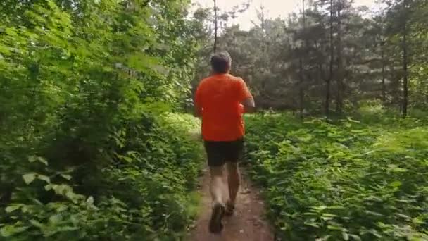 Vuxen man kör jogga utomhus i en skog natur på en skog spår och njuter av det och ser gärna — Stockvideo
