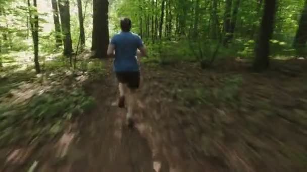 Vuxen man kör jogga utomhus i en skog natur på en skog spår och njuter av det och ser gärna — Stockvideo
