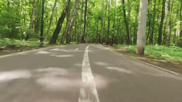 Point of view running jogging outdoors in a forest nature on a asphalt road — Stock Video