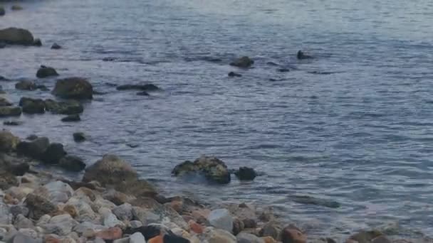 地中海被海浪在岩石上 — 图库视频影像