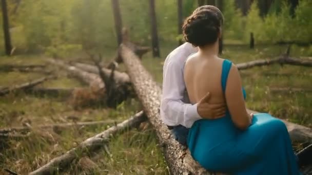 Pareja feliz enamorada en el bosque sentada en el árbol caído — Vídeo de stock