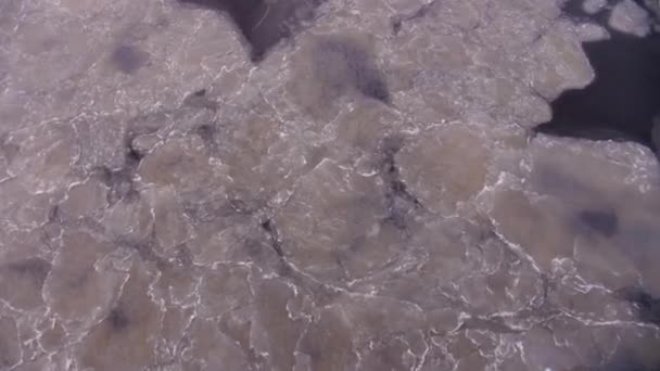 Icebreaker vela thru oceano de água ártico — Vídeo de Stock