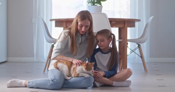 Young mother and little daughter touch cat and have good time together — Stock Video