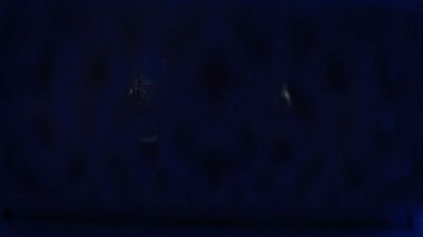 Alyans hediye kutusu