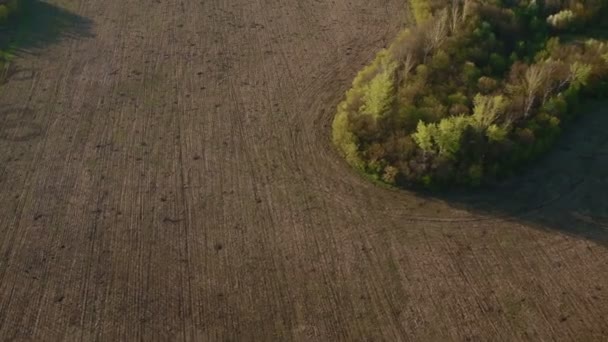Vista aérea para o campo e floresta — Vídeo de Stock