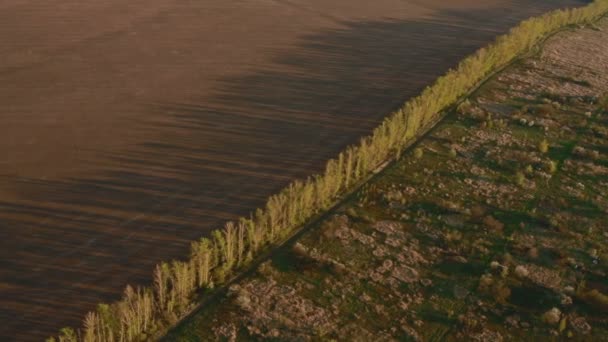 Vista aerea per il campo e la foresta — Video Stock