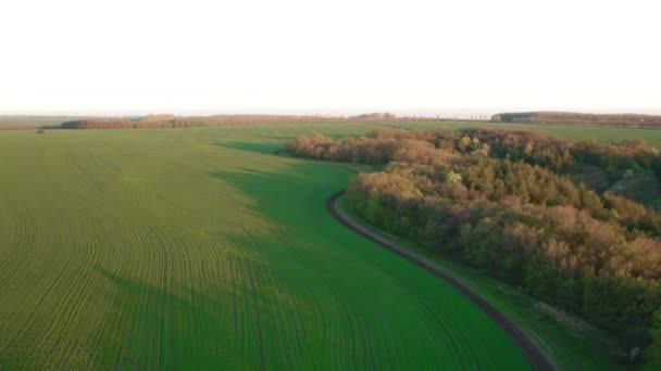 Вид с воздуха на поле и лес — стоковое видео