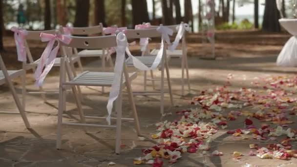 Decoración del pasillo de la boda — Vídeos de Stock