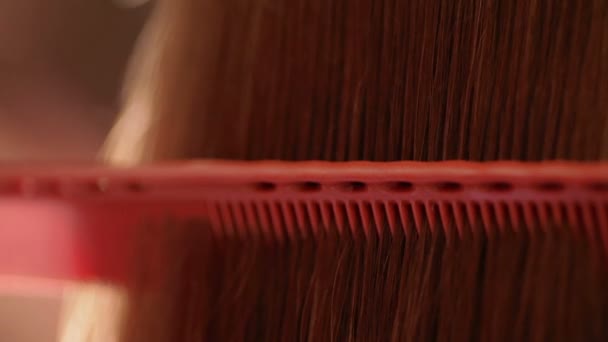 Close-up de escovação de cabelo marrom — Vídeo de Stock