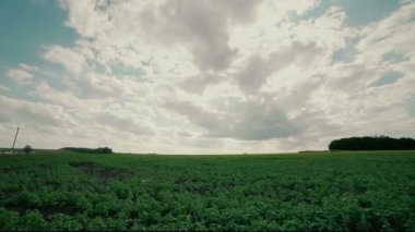 HDR Timelapse tarım alanı