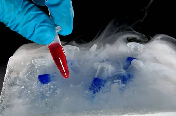Polymerase chain reaction samples on dry ice used in biochemistry, molecular biology, genetics, and clinical chemistry in lab