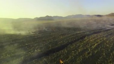 Yukarıdaki bulutlarla harmanlanmış, yükselen dumanlı, çimenli bir tarlanın genel manzarası. Ufukta ağaçlar ve yollar görülebilir.