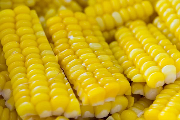 Sliced Steamed Sweet Corn — Stock Photo, Image