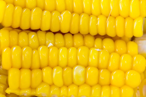 Sliced Steamed Sweet Corn — Stock Photo, Image