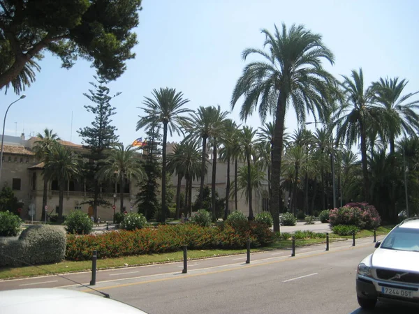 Paseando Por Palma Mallorca Pueden Encontrar Muchas Cosas Interesantes Una — Foto de Stock