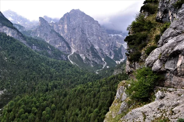 İtalya, Güney Alpleri. Dağlar, çiçekler, dağlık çayırlar. Bulutlardaki dağlar, güneş ve kar