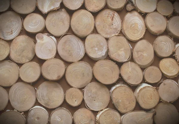 Tahta yuvarlak odun parçaları. Tahta fayanslar. Masada yatarken.