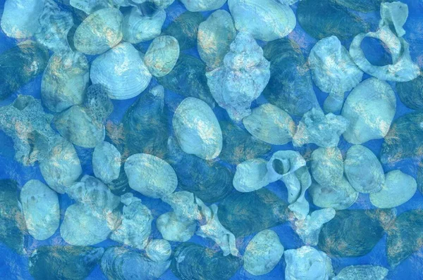 Капелюхи Греблі Під Водою Блакитні Відтінки Морські Сувеніри — стокове фото