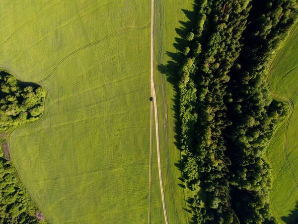 A green field, a road and a forest. Top view. Photo from the drone