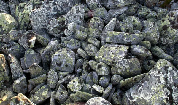 Gray Stones Moss Ancient Mountains — Stock Photo, Image