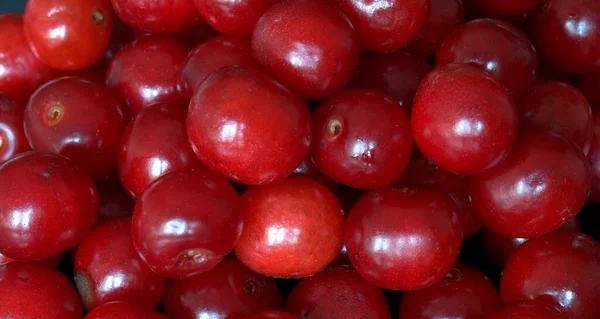 Kırmızı Vişneli Makro Fotoğraf Bahçe Meyvesi — Stok fotoğraf