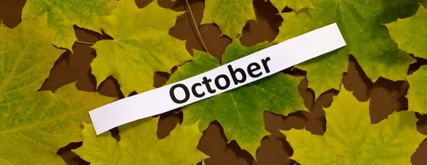 Слово Октябрь Желтый Осенний Клен Листья — стоковое фото