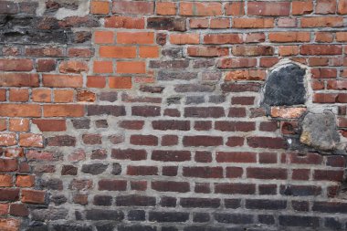 Küflü tuğla duvar arkaplanı ve dokusu
