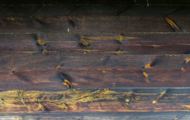 tahta arkaplan ve doku