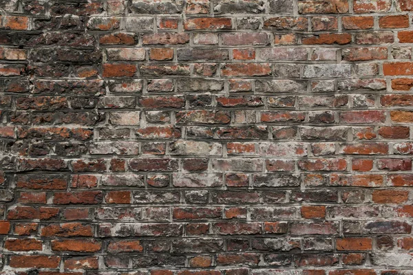 moldy brick wall background and texture