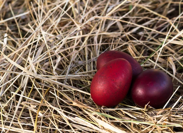 Oeufs dans le panier et herbe sèche — Photo