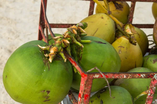 Noix de coco sur la plage, la mer, l'été, savoureux, naturel , — Photo