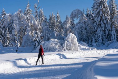 Almanya 'da Immenstadt, Bavyera yakınlarındaki Allgau Alplerinde taze toz kar altında kayak yapan güzel, aktif, son sınıf öğrencisi bir kadın.
