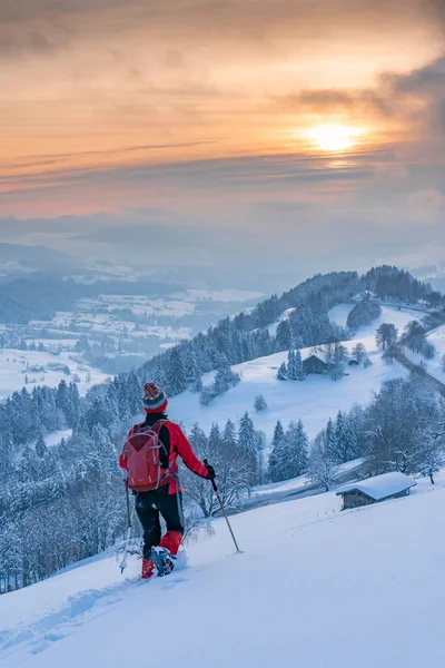 Nice Active Senior Woman Snowshoeing Allgaeu Alps Oberstaufen View Bregenzerwald — Stock Photo, Image