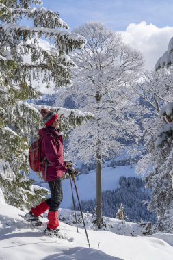 Allgau Alpleri, Bavyera, Almanya 'da kar altında kar ayakkabısı giyen güzel ve aktif bir kadın.