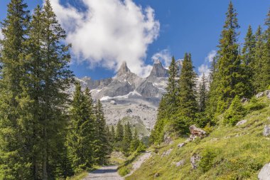 Tschaggun, Vorarlberg, Avusturya yakınlarındaki Montafon vadisinde Drusenfluh zirveleri ve üç kulesiyle kayalık dağ manzarası