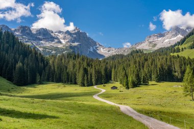 Tschaggun, Vorarlberg, Avusturya yakınlarındaki Montafon vadisinde Drusenfluh zirveleri ve üç kulesiyle kayalık dağ manzarası
