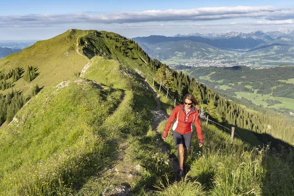 active senior woman mountain running in the early evening in warm dawn light on the ridge of the Nagelfluh chain in the Allgau Alps near Immenstadt, Bavaria, Germany