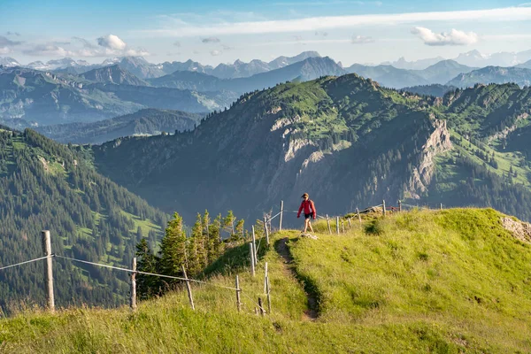active senior woman mountain running in the early evening in warm dawn light on the ridge of the Nagelfluh chain in the Allgau Alps near Immenstadt, Bavaria, Germany
