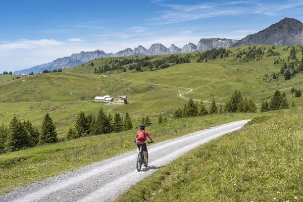 İsviçre, Canton St. Gallen 'de Churfirsten' in yedi zirvesinin altında elektrikli dağ bisikleti süren güzel aktif bir kadın.
