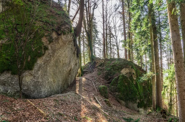 Tajemná Skalní Formace Entschenstein Konglomerátní Kamenný Monolit Pohoří Allgau Nedaleko — Stock fotografie